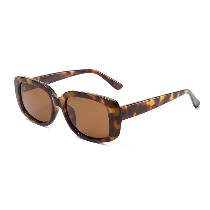 3489 Quadro retangular oval de grandes dimensões apresenta templos elegantes prontos para óculos de sol