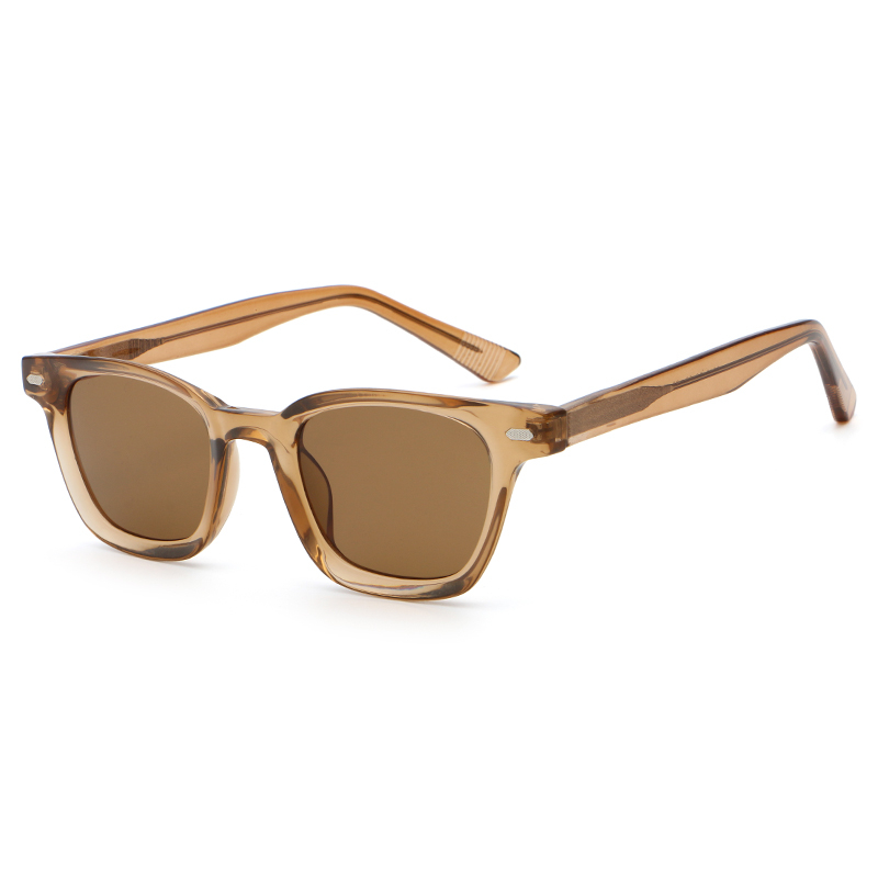 6210 Estilo WayFarer PC Frame CP Templos Unissex Sunglasses