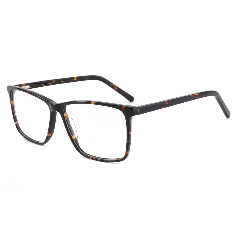 2006 Readymade Spring Deld Acetato Men Frames Optical