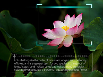 Reconhecimento de imagem automática-ai-glasses