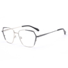 1023 Spring Hinge Hinge Photochromic Metal Mulheres óculos