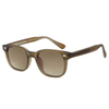 6228 Classic WayFarer Style Metal Decoration Sunglasses