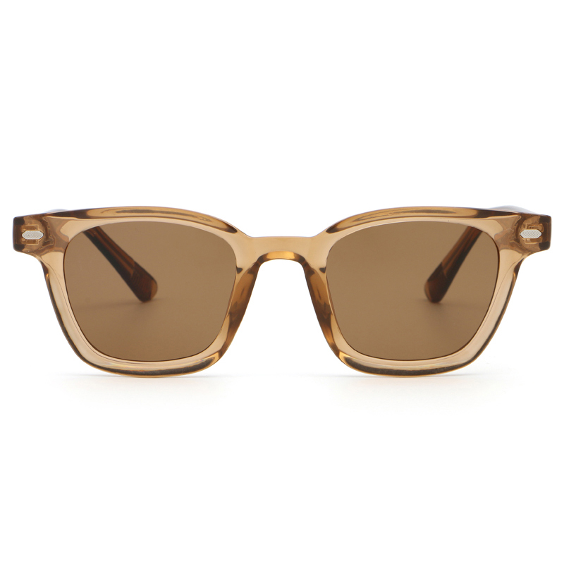 6210 Estilo WayFarer PC Frame CP Templos Unissex Sunglasses