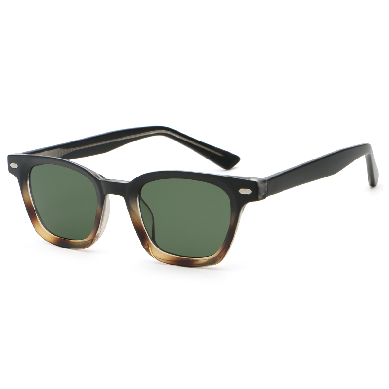 6210 Estilo WayFarer PC Frame CP Templos Unissex Sunglasses